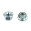 Flange Hex Nut